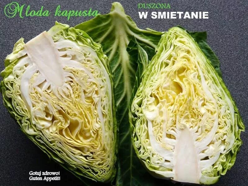 Капуста шпицколь описание сорта фото отзывы Przepis na Spitzkohl-młoda kapusta duszona w śmietanie - Gotuj zdrowo!Guten Appe