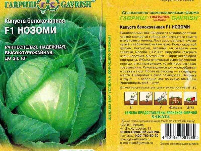 Капуста шпицоль описание сорта фото отзывы Сорта капусты - название, описание с фото, советы по выращиванию