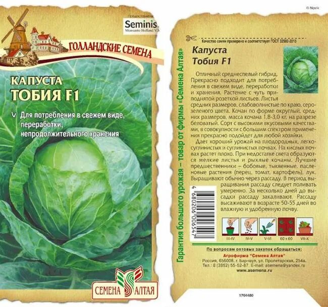 Капуста шпицоль описание сорта фото отзывы Капуста тобия