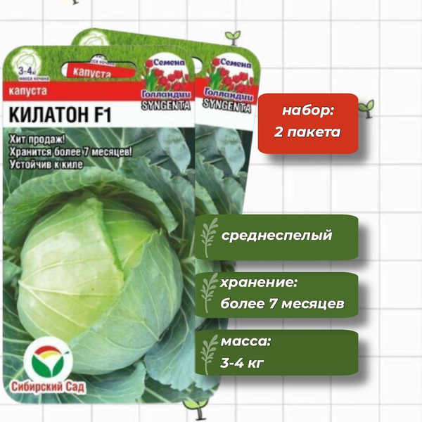 Капуста сибирская описание сорта фото отзывы Капуста Сибирский сад СибСадКапуста - купить по выгодным ценам в интернет-магази