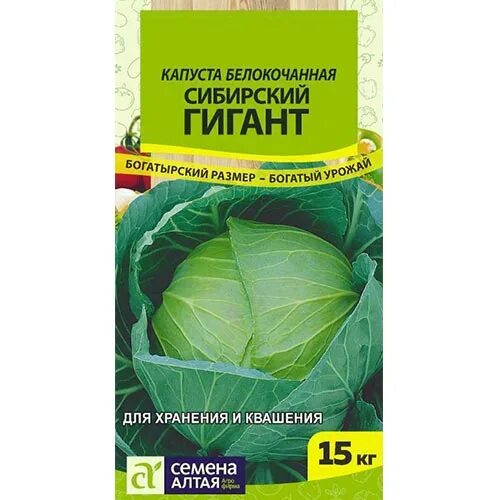 Капуста сибирская описание сорта фото отзывы Капуста белокочанная Сибирский гигант Семена Алтая (78329): купить семена почтой