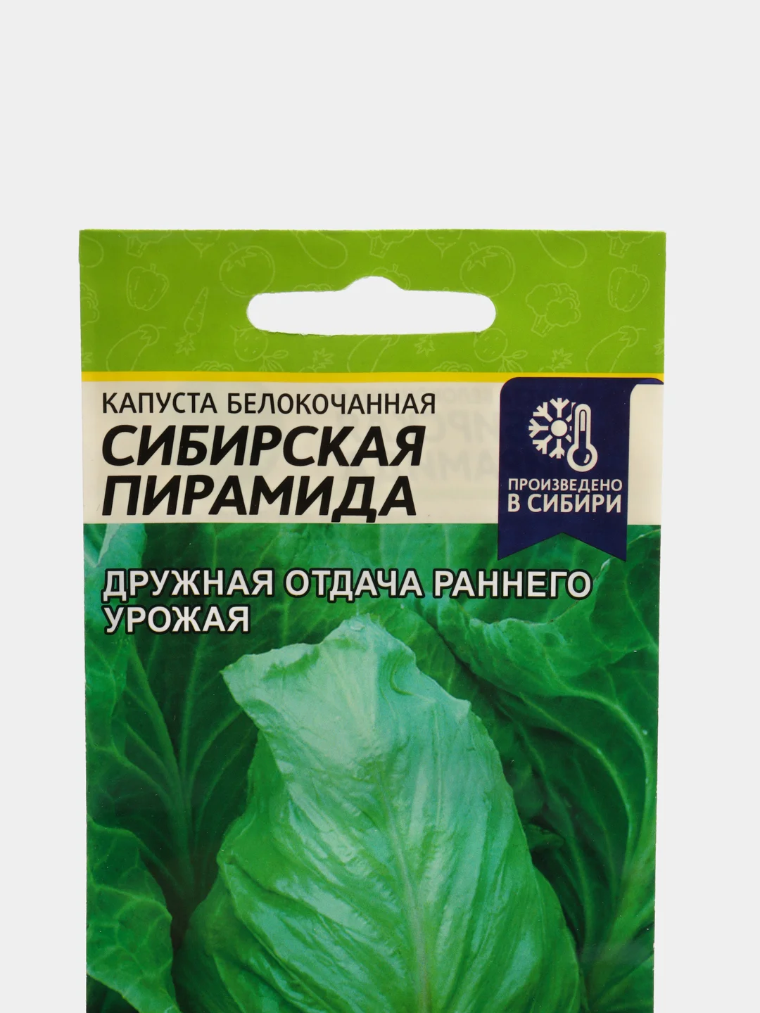 Капуста сибирская описание сорта фото отзывы Семена Капуста "Сибирская пирамида", Семена Алтая купить по цене 55 ₽ в интернет
