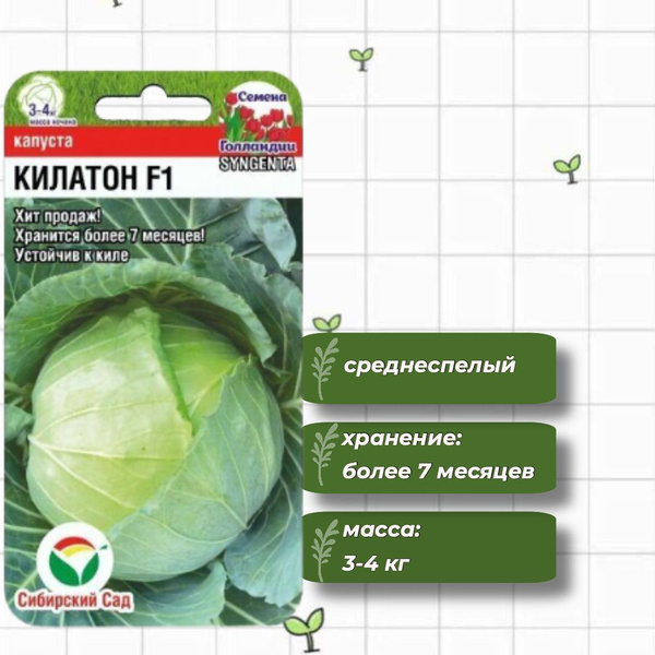 Капуста сибирская описание сорта фото отзывы Капуста Сибирский сад СибСадКапуста - купить по выгодным ценам в интернет-магази