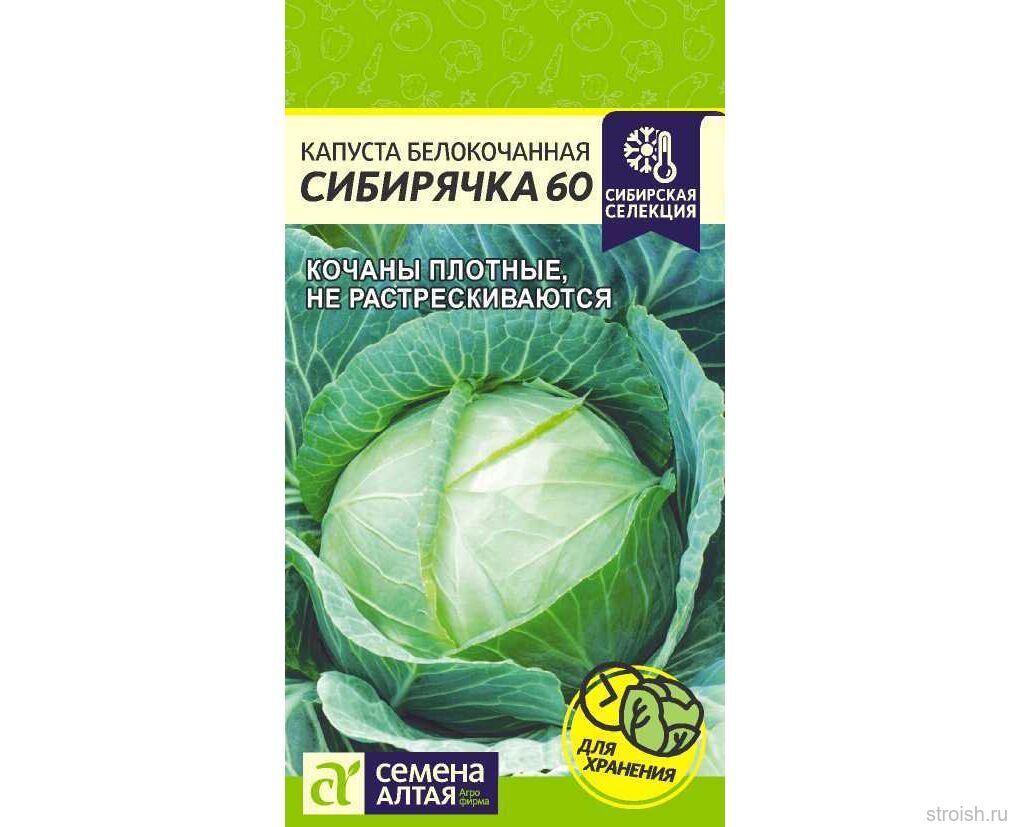 Капуста сибирская описание сорта фото отзывы Капуста белокочанная Сибирячка 60 0,5г семена Алтая купить оптом и в розницу по 