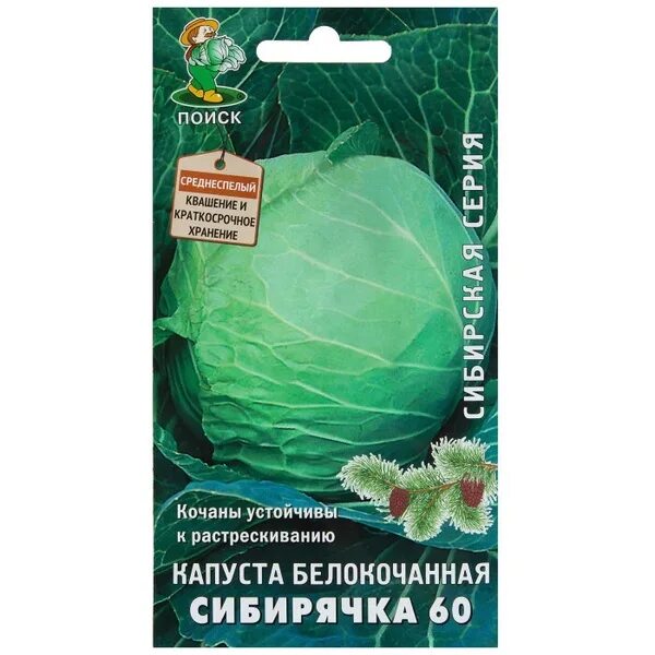 Капуста сибирская описание сорта фото отзывы Поиск LM# 17229821/SET4@sezon22 - купить по выгодным ценам в интернет-магазине O