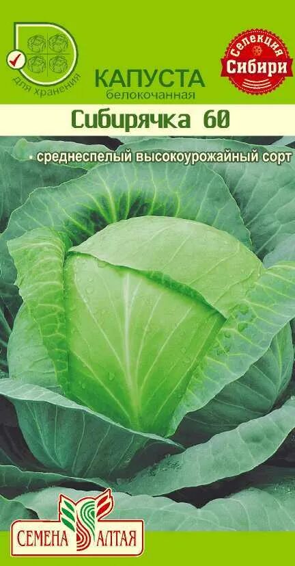 Капуста сибирская описание сорта фото отзывы КАПУСТА БЕЛОКОЧАНАЯ / АГРО САД