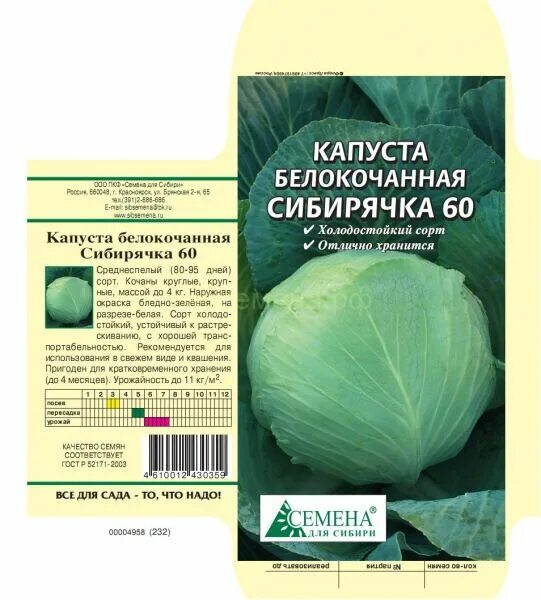 Капуста сибирская описание сорта фото отзывы Капуста бк Сибирячка 60, 0,4г Капуста. Семена овощей