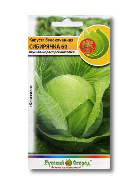Капуста сибирская описание сорта фото отзывы Капуста Капуста Белокочанная