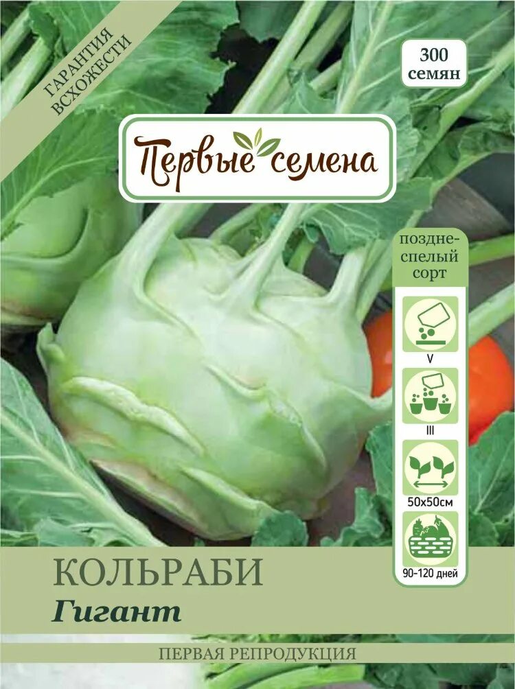 Капуста сибирский гигант описание сорта фото Купить семена Капуста кольраби Гигант в магазине Первые Семена по цене 23 руб.