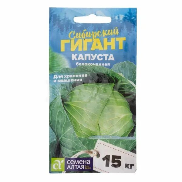 Капуста сибирский гигант описание сорта фото Семена Семена Алтая Капуста белокочанная Сибирский гигант (0,5 г) - IRMAG.RU