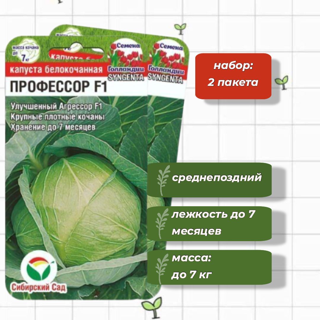 Капуста сибирский гигант описание сорта фото Капуста Сибирский сад СибСадКапуста_2_белокочанная Профессор F1 - купить по выго