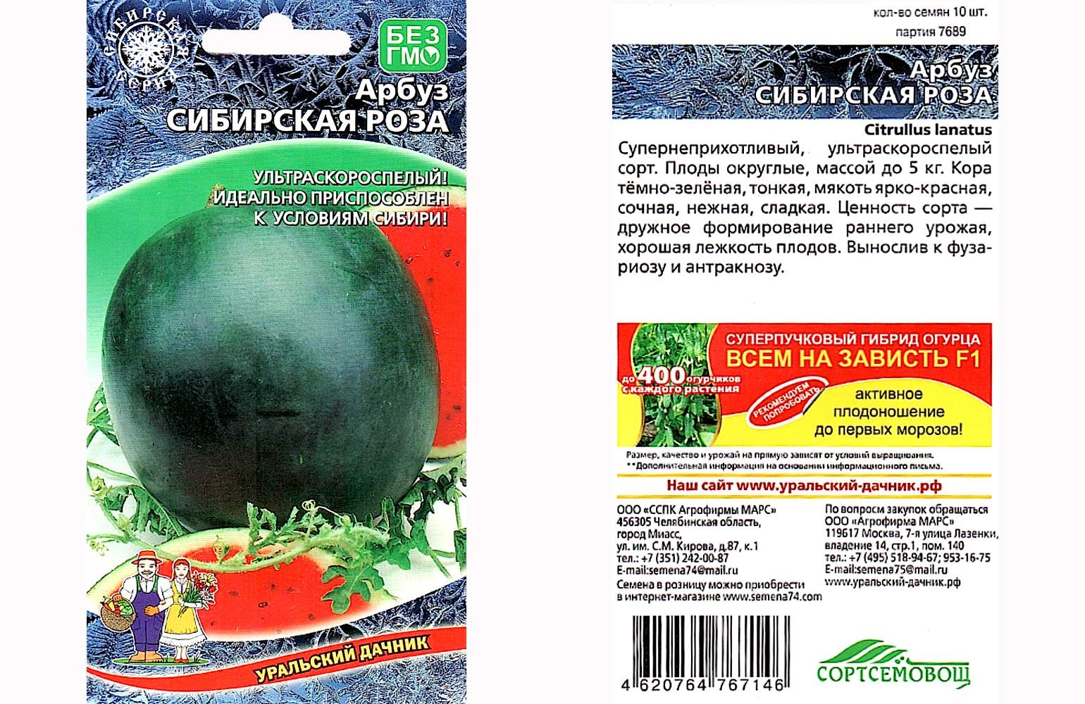 Капуста сибирский гигант описание сорта фото Капуста сибирский гигант описание сорта фото отзывы Фитостудия-63.ру