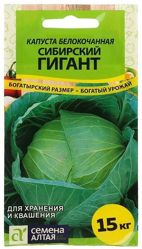 Капуста сибирский гигант описание сорта фото отзывы Семена Капуста б/к сибирский Гигант: описание сорта, фото - купить с доставкой и