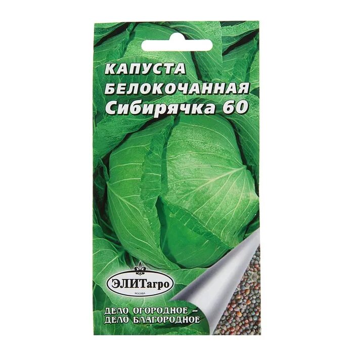 Капуста сибирячка 60 описание сорта фото отзывы Семена Капуста позднеспелая "Сибирячка 60", 0,5 г купить недорого в Москве в инт