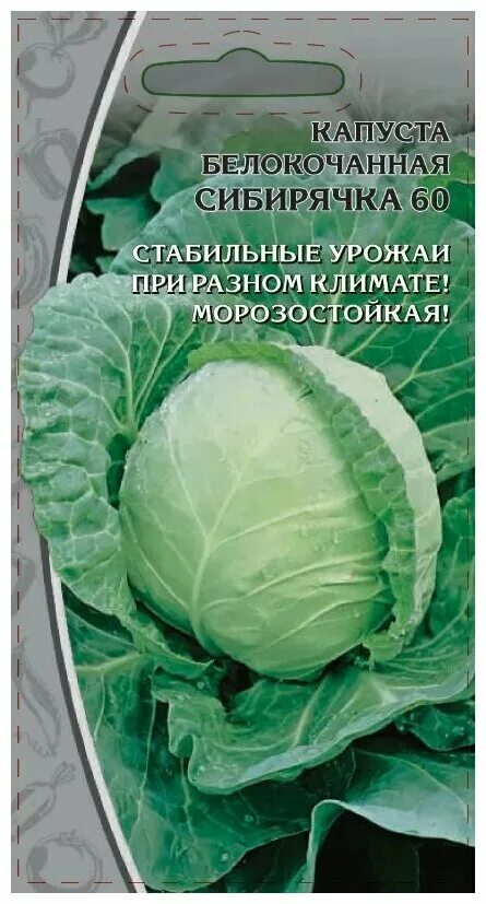 Капуста сибирячка 60 описание сорта фото отзывы Семена Ваше хозяйство Капуста белокочанная Сибирячка 60 0.5 г - купить в интерне