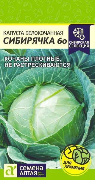 Капуста сибирячка 60 описание сорта фото отзывы Семена Алтая Капуста - купить по выгодным ценам в интернет-магазине OZON (749811