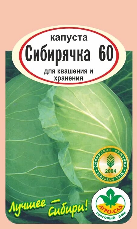 Капуста сибирячка 60 описание сорта фото отзывы Капуста сибирячка 60: описание сорта, фото, отзывы тех, кто сажал