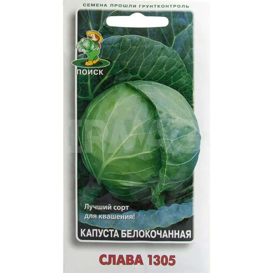 Капуста слава 1305 описание сорта фото Семена Поиск Капуста белокочанная Слава 1305 (0,5 г.) - IRMAG.RU