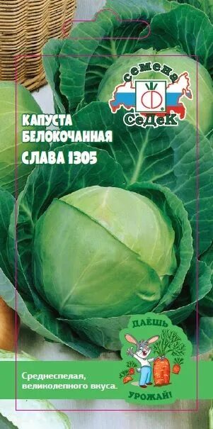 Капуста слава 1305 описание сорта фото Семена: Капуста Слава 1305 (ДУ) - интернет-магазин СеДеК