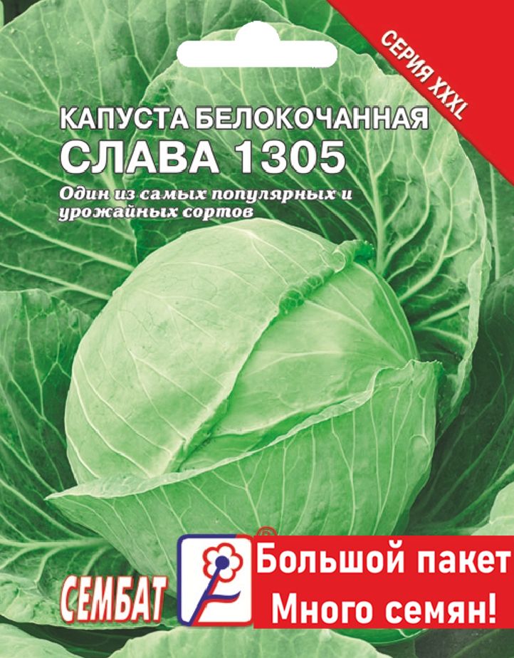 Капуста слава 1305 описание сорта фото Капуста Сембат Капуста XXXL - купить по выгодным ценам в интернет-магазине OZON 