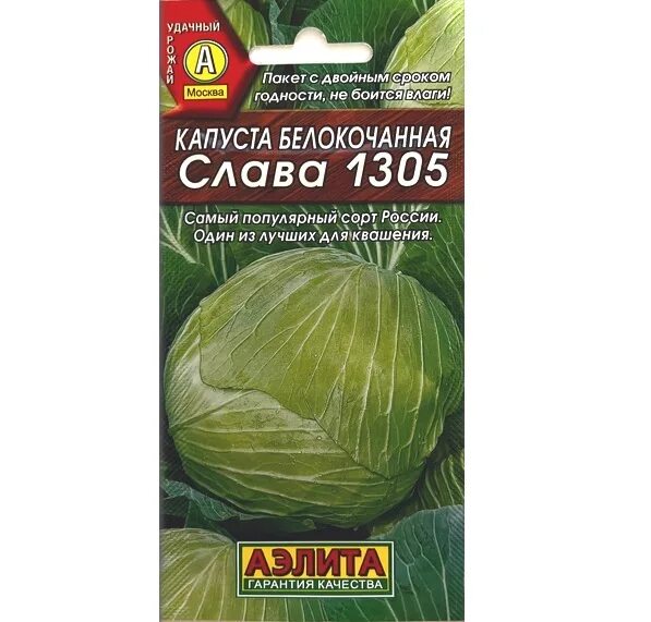 Капуста слава 1305 описание сорта фото Капуста Слава 1305 Описание Сорта Фото Отзывы - Oibola.ru