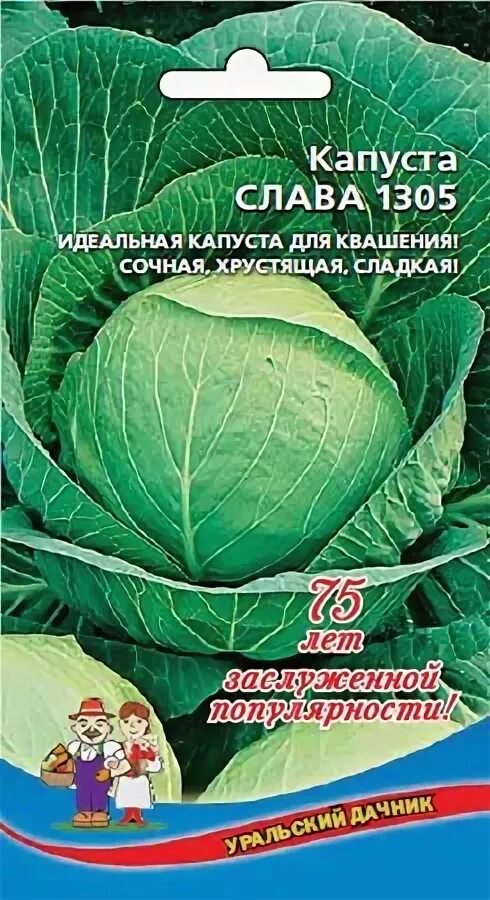 Капуста слава 1305 описание сорта фото Купить Капуста Слава 1305 0,5 гр. за 10 руб. почтой "Сад-Эксперт" - Семена капус