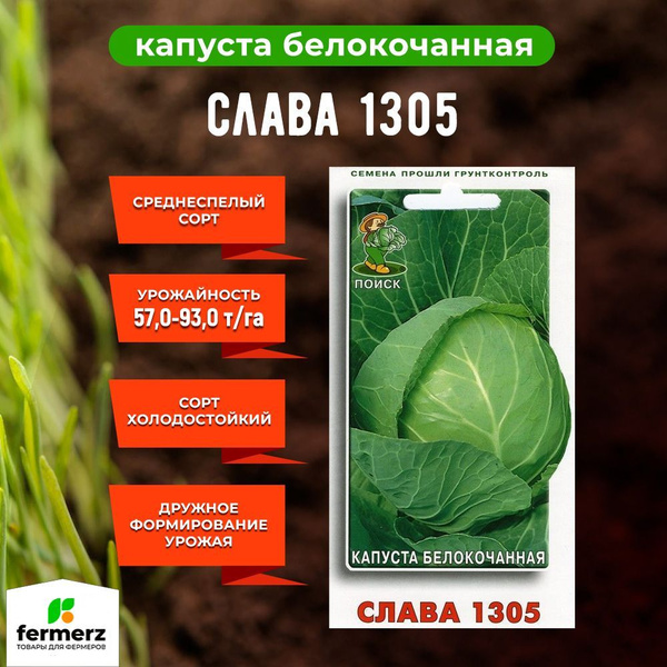 Капуста слава 1305 описание сорта фото Капуста ПОИСК Агрохолдинг Капуста белокочанная-FermerZ_светло-зеленый, 0,5 г - к