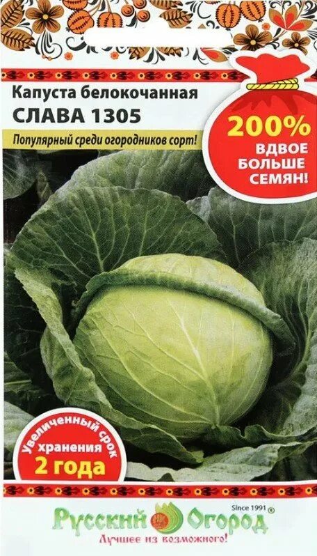 Капуста слава 1305 описание сорта фото Капуста б/к Слава 1305