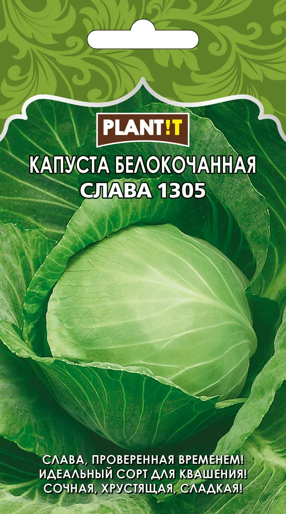Капуста слава 1305 описание сорта фото Капуста Слава 1305 б/к Plantit