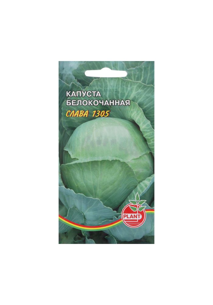 Капуста слава 1305 отзывы фото PLANT 7453277 - купить по выгодным ценам в интернет-магазине OZON