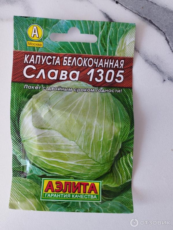 Капуста слава 1305 отзывы фото Отзыв о Семена капусты белокочанной Аэлита "Слава 1305" Всхожесть отвратительная