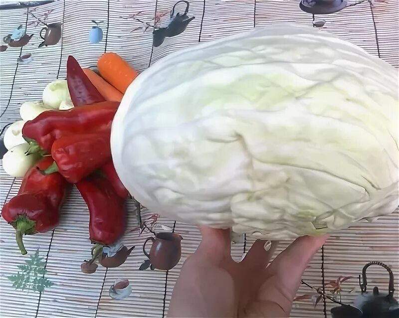Капуста слава фото Квашение капусты. Не выделился сок от капусты - 34 ответов форум Babyblog