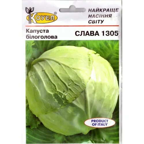 Капуста слава фото и описание Насіння Капусти Слава 1305 10г Коуел