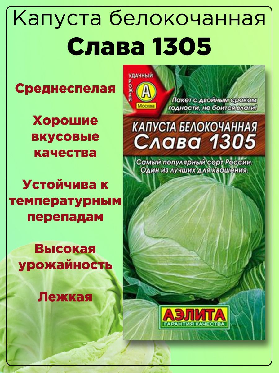 Капуста слава фото и описание Капуста Агрофирма Аэлита Слава 1305 - купить по выгодным ценам в интернет-магази