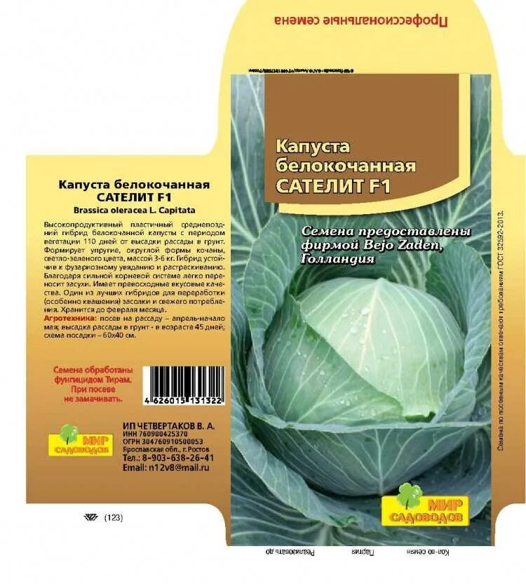 Капуста слава фото и описание Капуста сорт слава характеристика отзывы: найдено 83 изображений