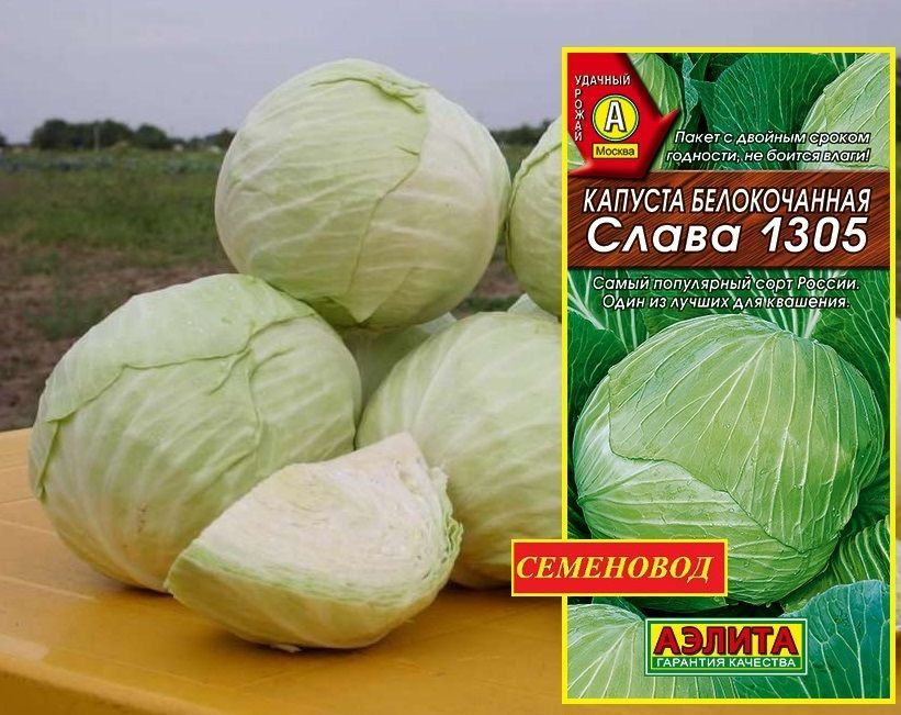 Капуста слава фото кочана Семена Капусты Парус Поиск купить на OZON по низкой цене