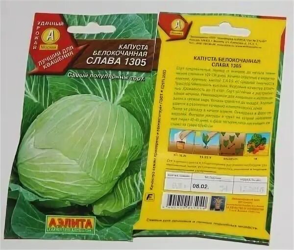 Капуста слава характеристика и описание сорта фото Сорт капусты Слава: описание, отзывы и советы