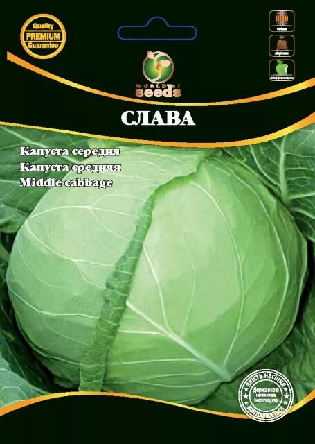 Капуста слава характеристика и описание сорта фото Сорт капусты слава характеристика фото