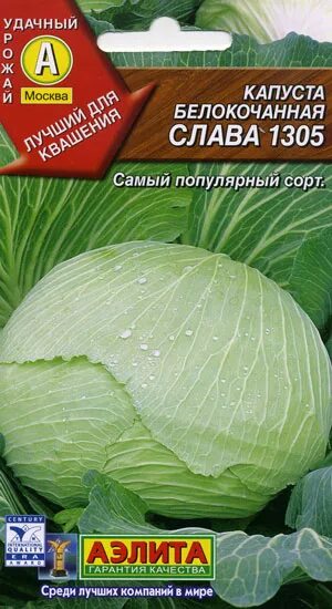 Капуста слава характеристика и описание сорта фото Капуста Слава 1305 (Аэлита) - купить, заказать в магазине Натуралист