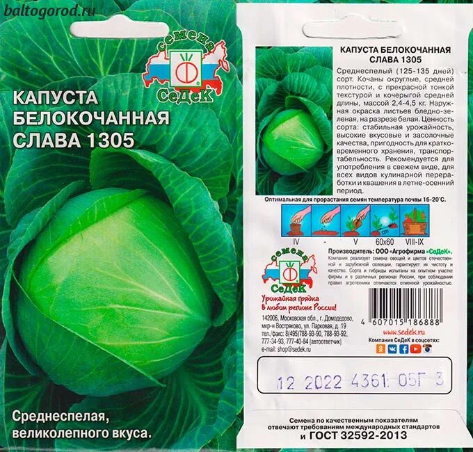Капуста слава описание сорта фото характеристика отзывы Капуста Слава 1305 купить семена описание сорта фото отзывы