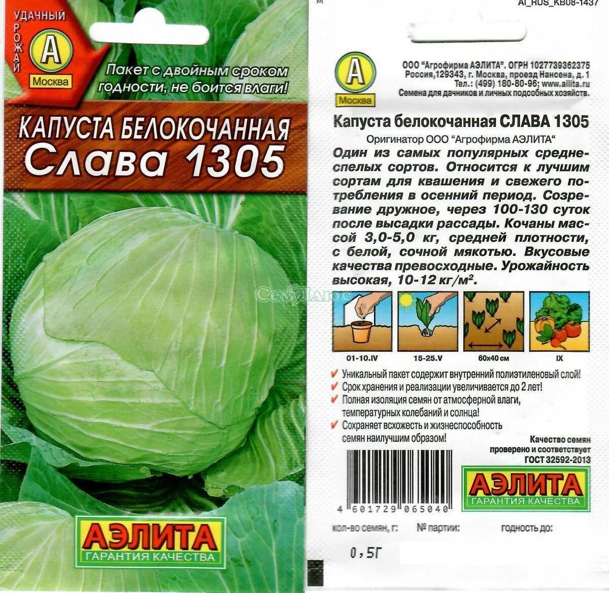Капуста слава описание сорта фото характеристика отзывы Чеснок Грибовский: характеристика и описание среднеспелого сорта с фото
