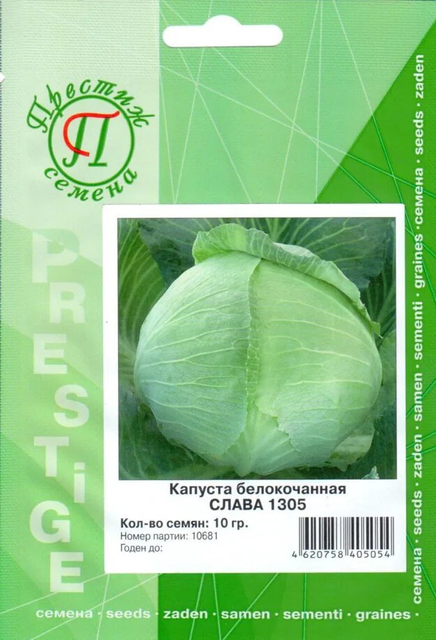 Капуста слава описание сорта фото характеристика отзывы Капуста сорт слава характеристика отзывы: найдено 83 изображений