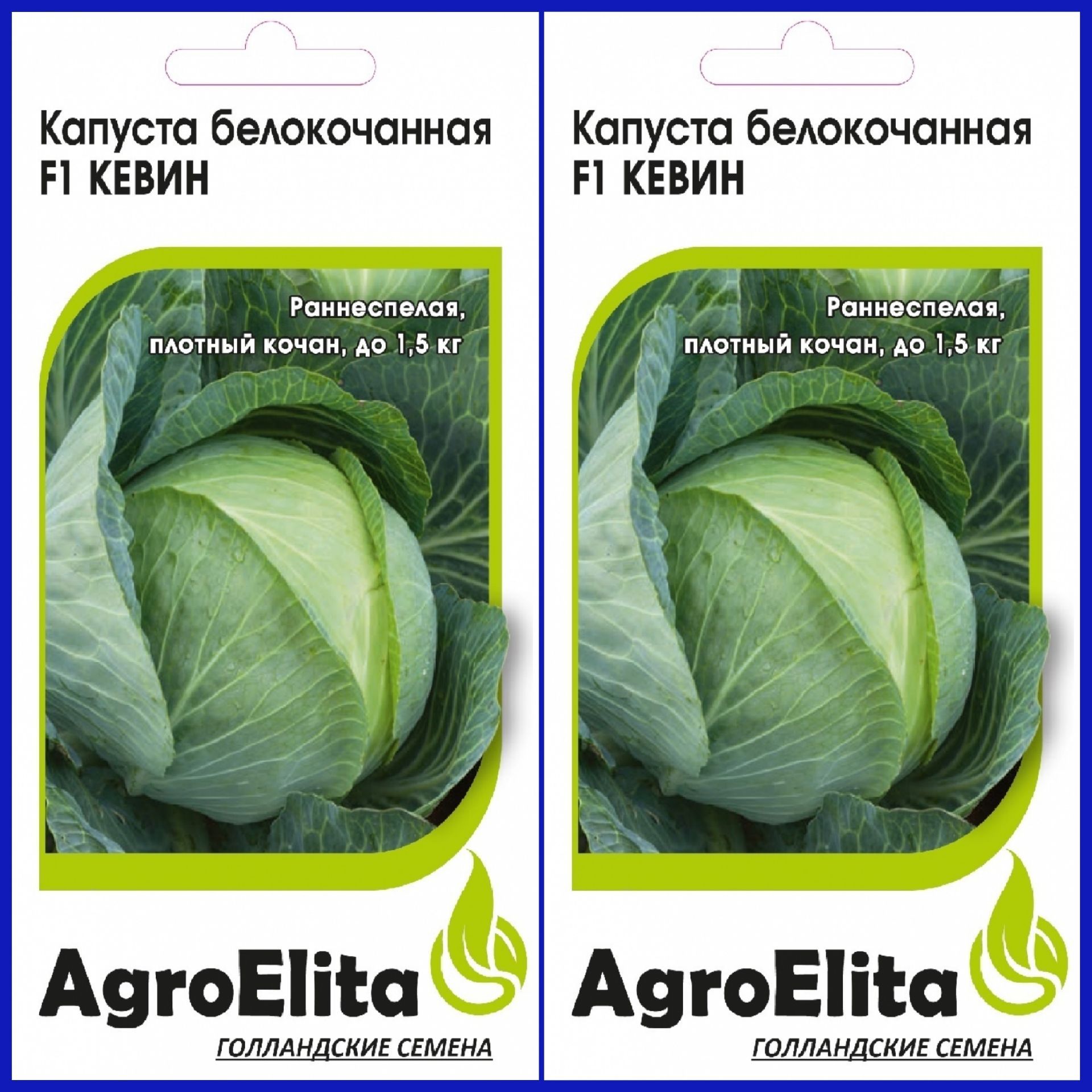 Капуста слава описание сорта фото характеристика отзывы Капуста AgroElita Капуста - купить по выгодным ценам в интернет-магазине OZON (8
