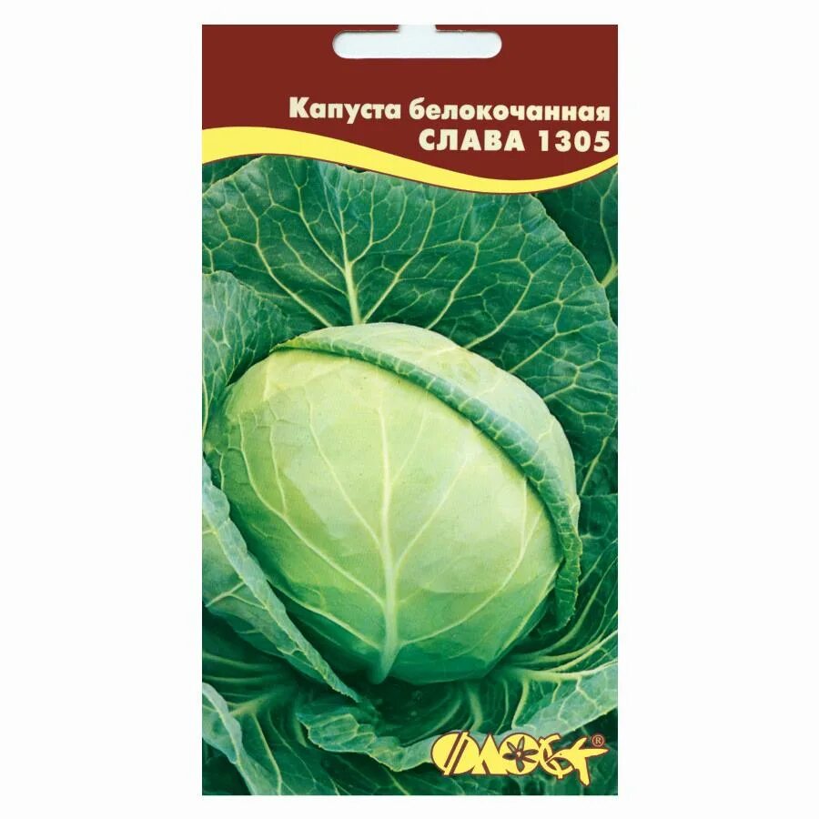 Капуста слава описание сорта фото отзывы КАПУСТА Б/К СЛАВА 1305 0,5 Г флос Агрофирма "ФЛОС"