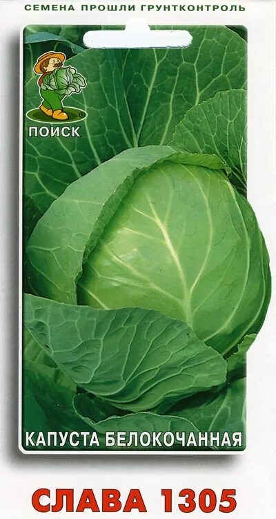 Капуста слава описание сорта фото отзывы садоводов Семена ПОИСК Капуста белокочанная Слава 1305 (ЦВ) 0, 5гр., шт 00000280309 - купи