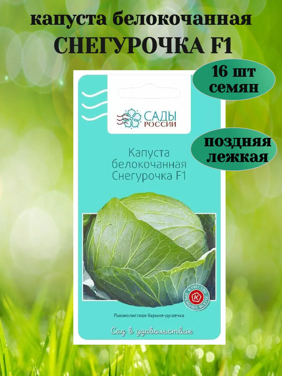 Капуста снегурочка описание сорта фото Капуста снегурочка описание сорта фото отзывы - Profhobby.ru