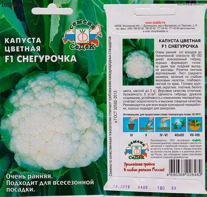 Капуста снегурочка описание сорта фото Капуста Снегурочка F1 купить семена описание сорта фото отзывы