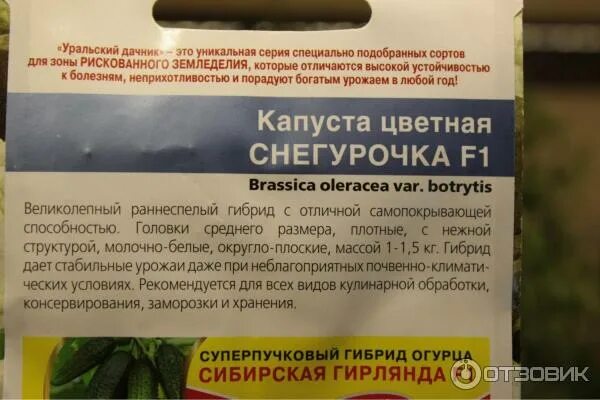 Капуста снегурочка описание сорта фото Отзыв о Семена Уральский дачник Капуста цветная "Снегурочка F1" Раннеспелый сорт