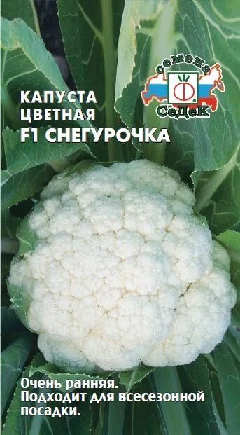 Капуста снегурочка описание сорта фото Семена Капуста Снегурочка F1 (цв) - интернет-магазин СеДеК