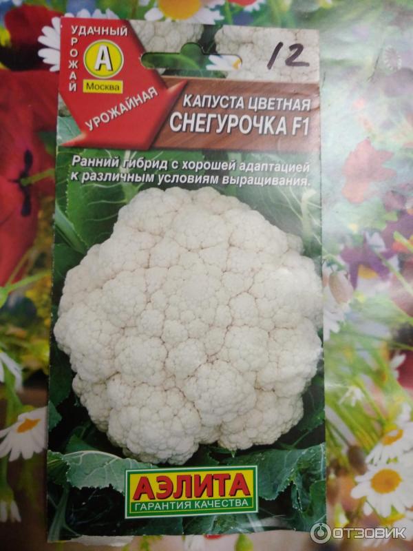 Капуста снегурочка описание сорта фото Отзыв о Семена Аэлита Капуста цветная "Снегурочка F1" Урожая не увидела